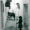 Barriendo callejón